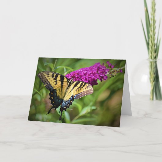 Papillon, carte (Devant)