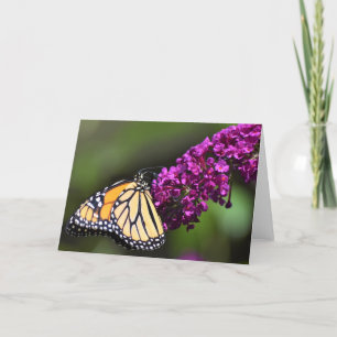 Papillon, carte