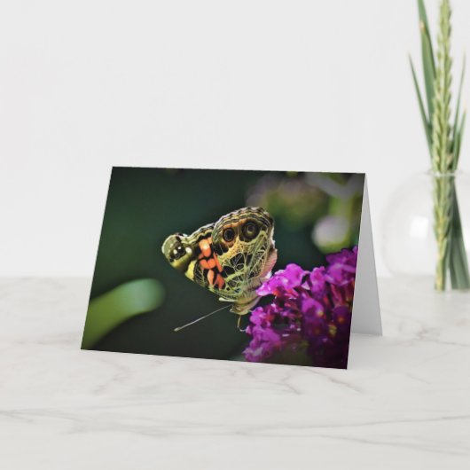 Papillon, carte (Devant)