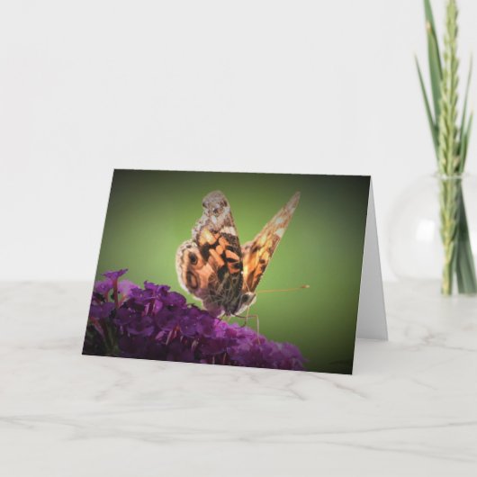 Papillon, carte (Devant)