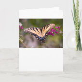 Papillon, carte (Devant)