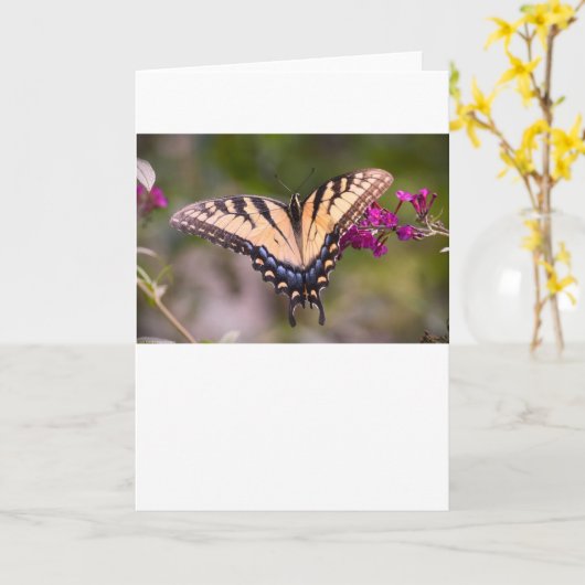 Papillon, carte (Fleur jaune)