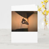 Papillon, carte (Fleur jaune)