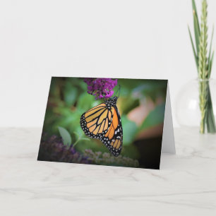 Papillon, carte
