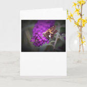 Papillon, carte (Fleur jaune)
