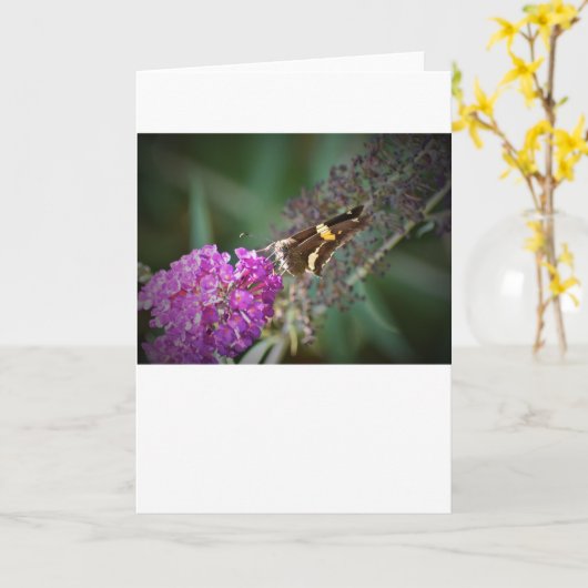 Papillon, carte (Fleur jaune)