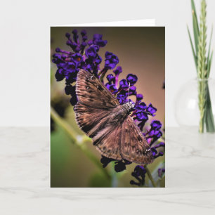 Papillon, carte