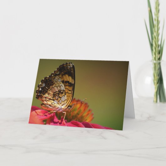 Papillon, carte (Devant)
