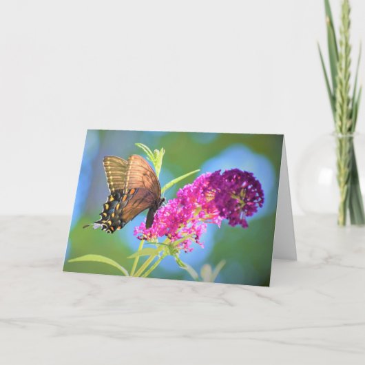 Papillon, carte (Devant)