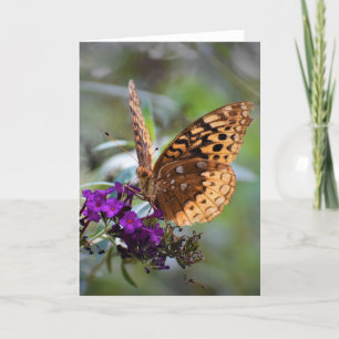 Papillon, carte
