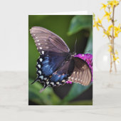 Papillon, carte (Fleur jaune)