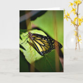 Papillon, carte (Fleur jaune)