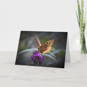 Papillon, carte