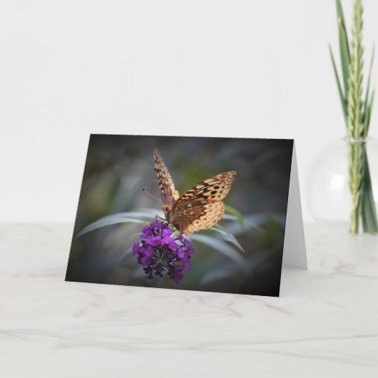 Papillon, carte (Devant)