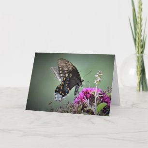 Papillon, carte