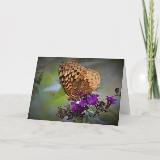 Papillon, carte (Devant)