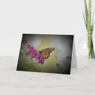 Papillon, carte