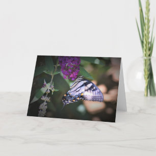 Papillon, carte
