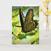 Papillon, carte (Fleur jaune)