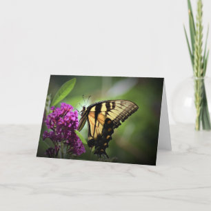 Papillon, carte