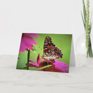 Papillon, carte