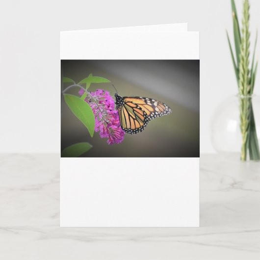 Papillon, carte (Devant)