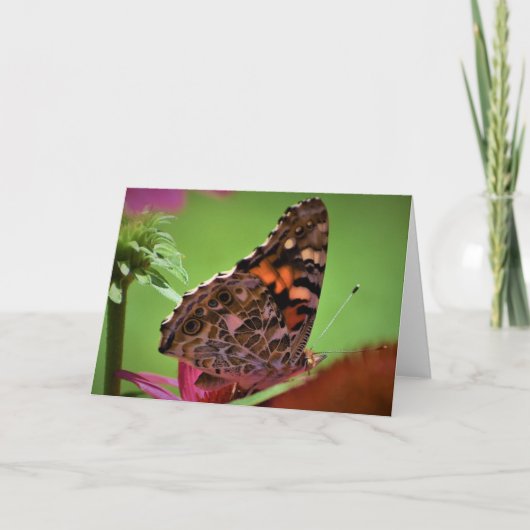 Papillon, carte (Devant)