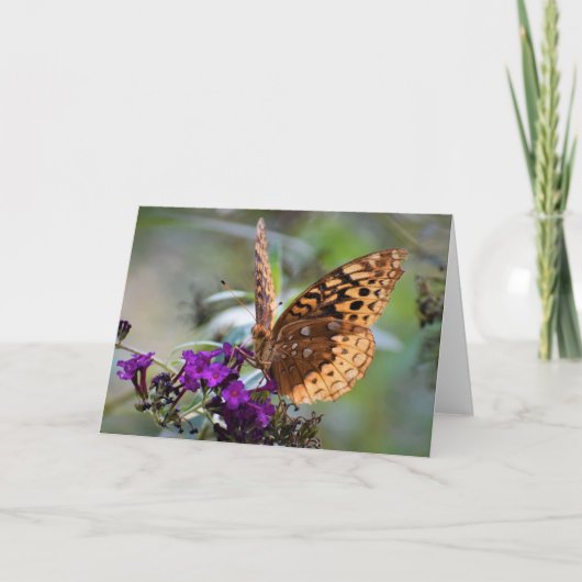 Papillon, carte (Devant)
