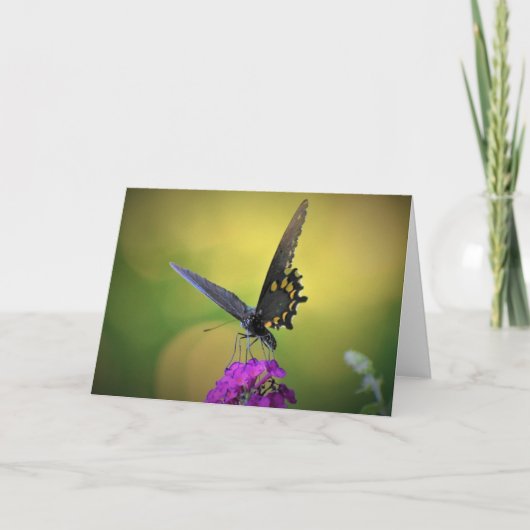 Papillon, carte (Devant)