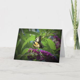 Papillon, carte