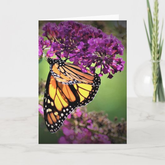 Papillon, carte (Devant)