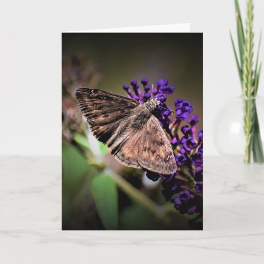 Papillon, carte (Devant)