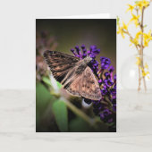 Papillon, carte (Fleur jaune)