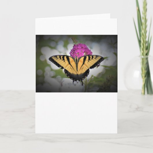 Papillon, carte (Devant)