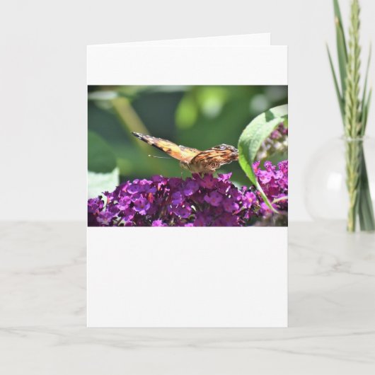 Papillon, carte (Devant)