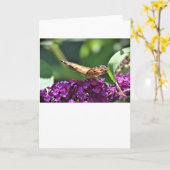 Papillon, carte (Fleur jaune)