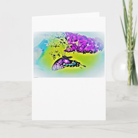 Papillon, carte (Devant)