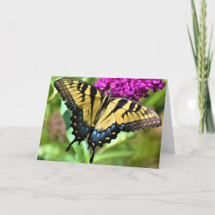 Papillon, carte
