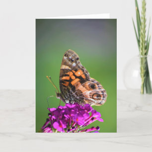 Papillon, carte