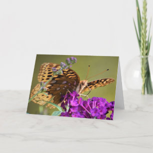 Papillon, carte