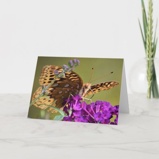 Papillon, carte (Devant)