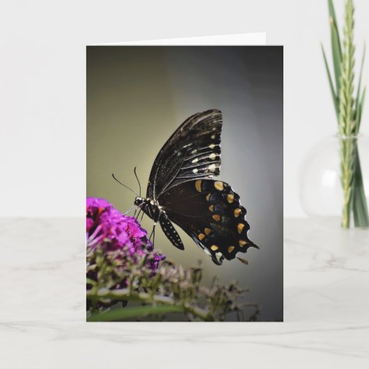 Papillon, carte (Devant)