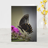 Papillon, carte (Fleur jaune)