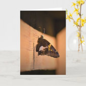 Papillon, carte (Fleur jaune)