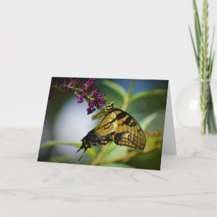 Papillon, carte