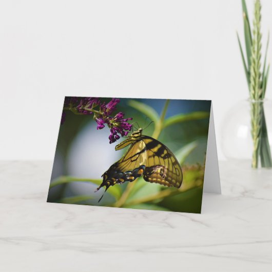 Papillon, carte (Devant)
