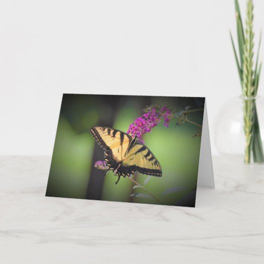 Papillon, carte (Devant)