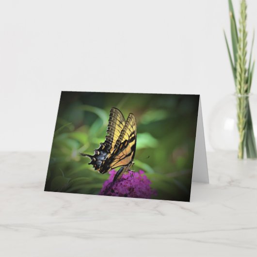 Papillon, carte (Devant)