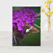 Papillon, carte (Fleur jaune)