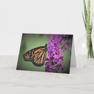 Papillon, carte